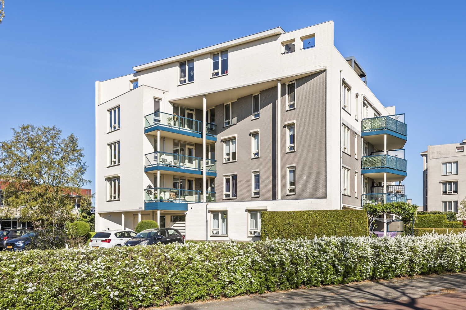 Liguster 14, Tiel
