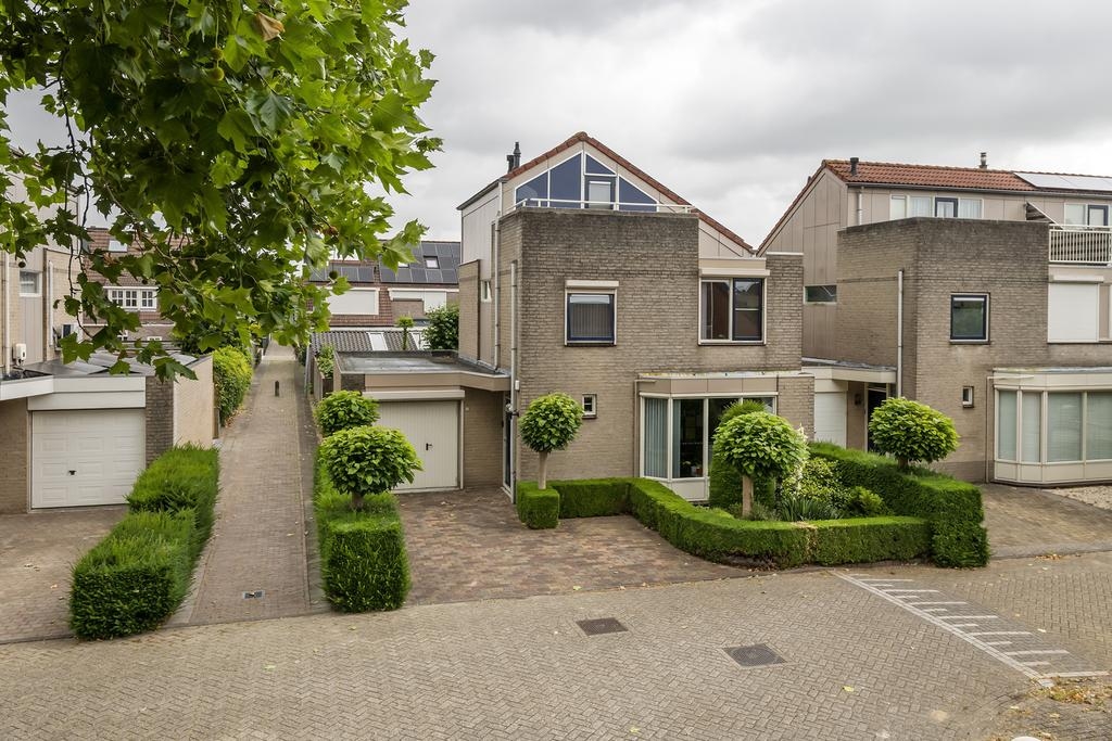 Ranonkel 16, Tiel