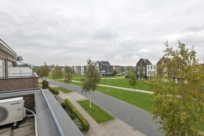 Aardbeivlinder 46, Tiel