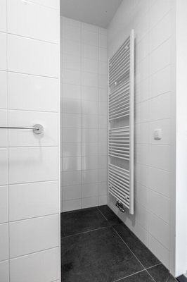 Bruine Eikenpage 60, Tiel