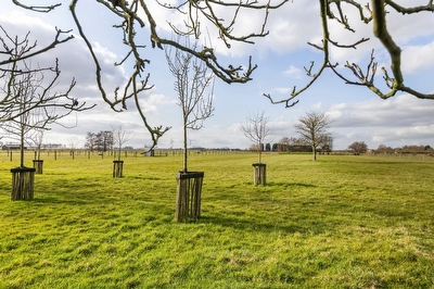 Bulkheuvelseweg 12, Ophemert
