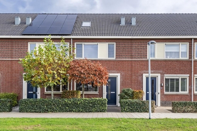 Gentiaanblauwtje 11, Tiel