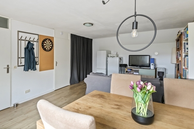Goudhaver 45, Tiel