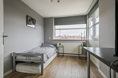 Goudhaver 45, Tiel