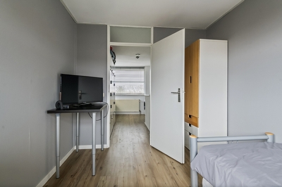 Goudhaver 45, Tiel