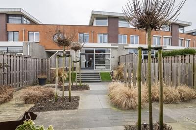 Goudhaver 45, Tiel