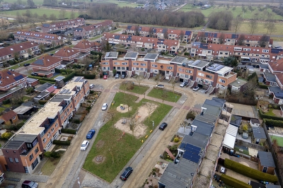 Goudhaver 45, Tiel