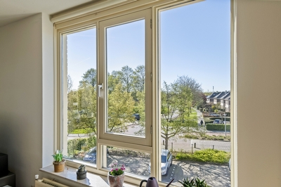 Liguster 14, Tiel