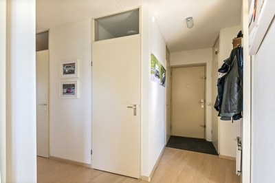 Liguster 14, Tiel
