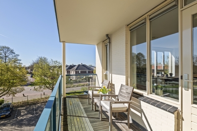 Liguster 14, Tiel