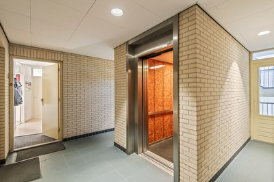 Liguster 14, Tiel