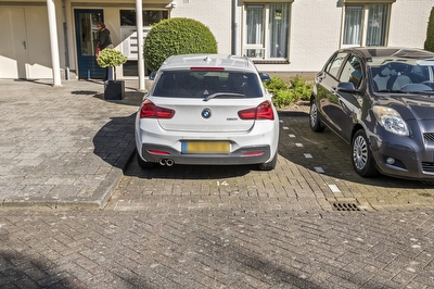 Liguster 14, Tiel