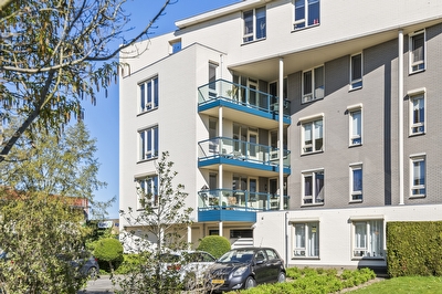 Liguster 14, Tiel