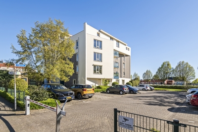 Liguster 14, Tiel
