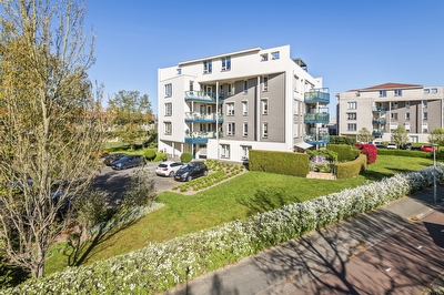 Liguster 14, Tiel