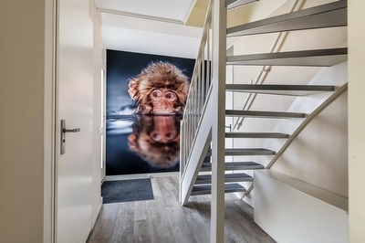 M. Noordzijstraat 6, Tiel
