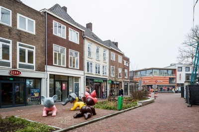 Oliemolenwal 19 04, Tiel