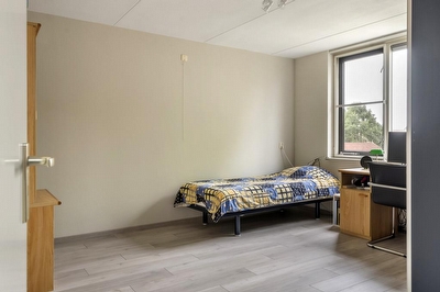 Ranonkel 16, Tiel