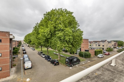 Ranonkel 16, Tiel