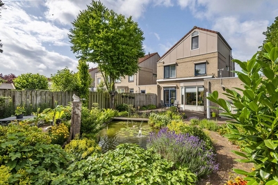 Ranonkel 16, Tiel