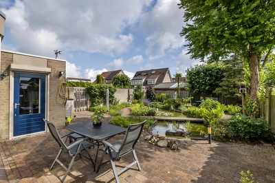 Ranonkel 16, Tiel