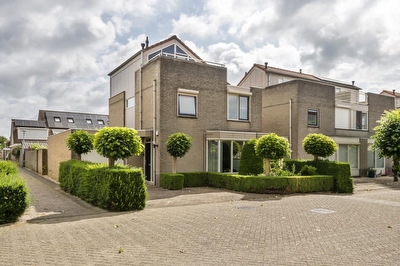Ranonkel 16, Tiel