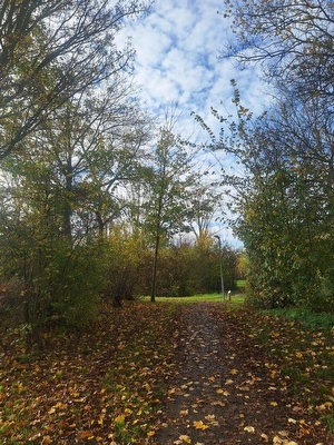 Vurenlaan 76, Tiel